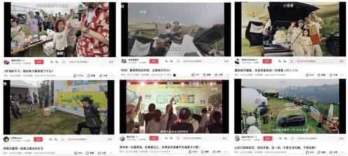 今日即墨爆料新闻视频大全,视频大全揭示城市动态与民生热点  第3张