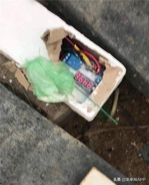 柬埔寨赌场爆料视频最新,揭秘奢华背后的黑暗面 第2张 柬埔寨赌场爆料视频最新,揭秘奢华背后的黑暗面 第2张